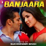 Banjaara Hits Of Sukhwinder Singh - Rahul Seth Song Download